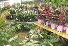Kooroolplant-nursery-7.jpg; ?>